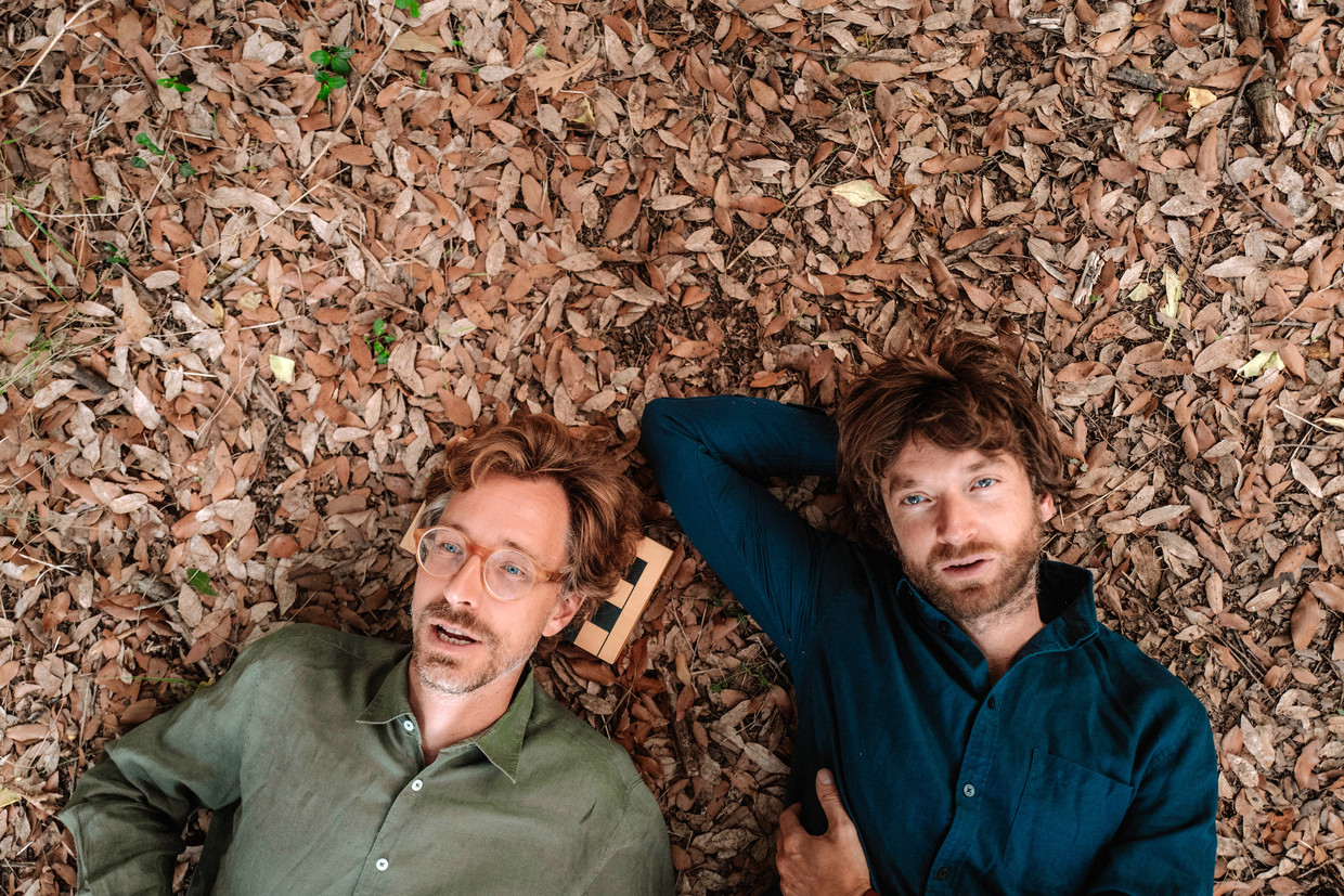 KINGS OF CONVENIENCE Beeld RV