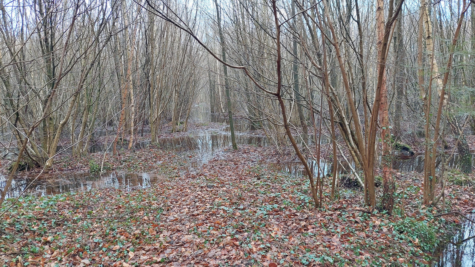 Dit landgoed worstelt met stormen, extreme droogte en keiharde regen ...