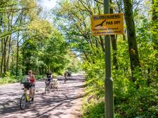 Oppassen voor broedende buizerds in de Maashorst: 'Hou een stok omhoog, ze mikken altijd op het hoogste punt’