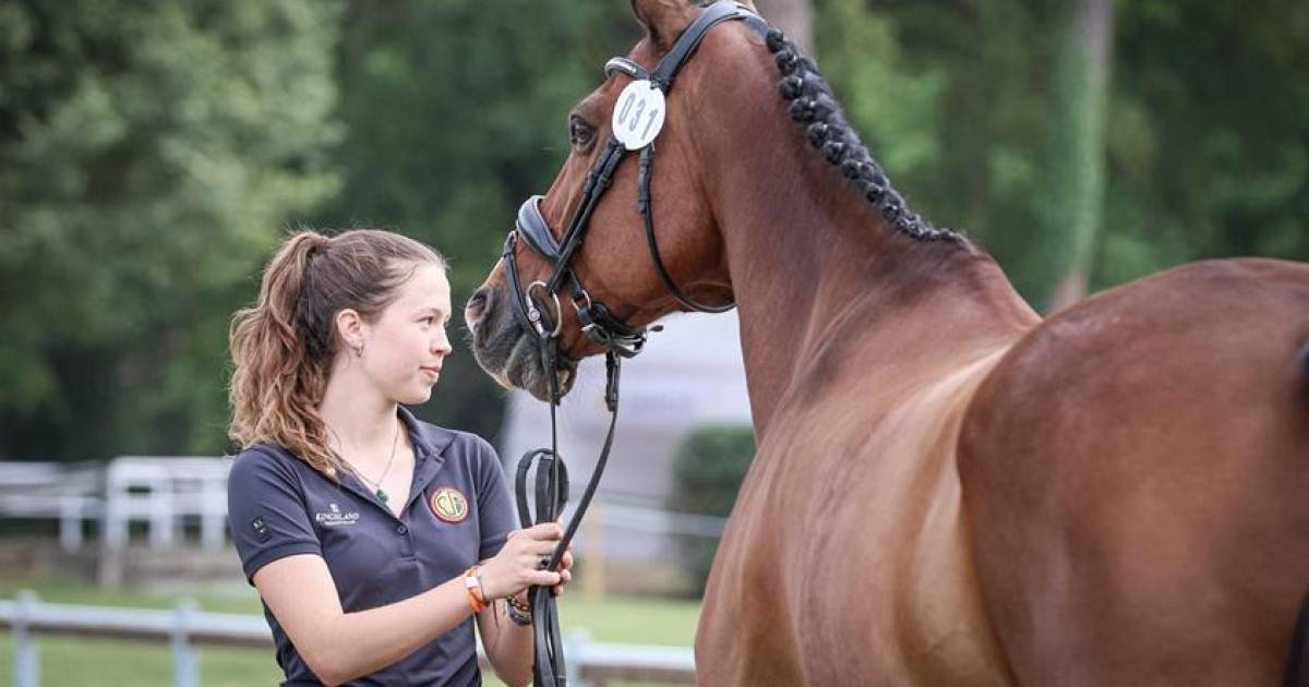 18-летняя дочь Фрика Брикмана стала послом новой конной выставки Кавалона |  Шоу-бизнес