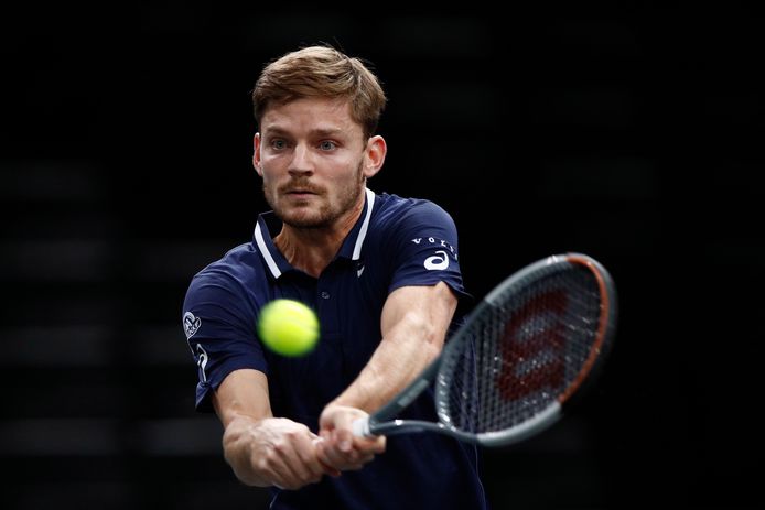 David Goffin.