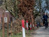 Tiel mag ondanks rechtszaken betwiste Avezaathse berm verbreden