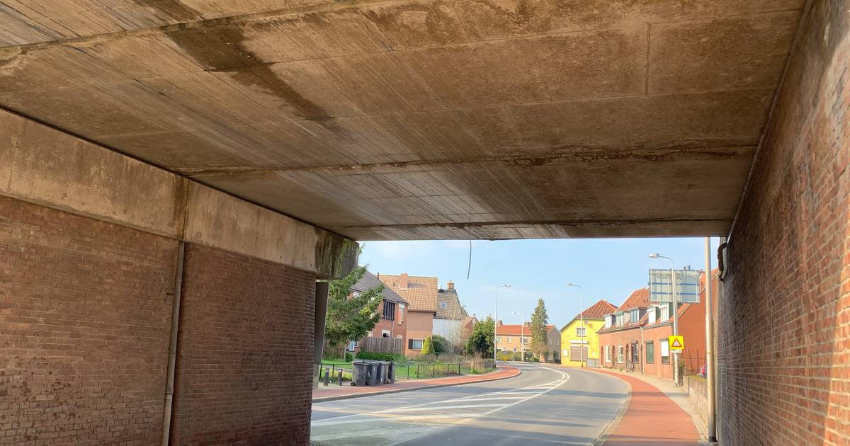 Treinverkeer Zutphen dik uur plat door aanrijding viaduct door vrachtwagen.