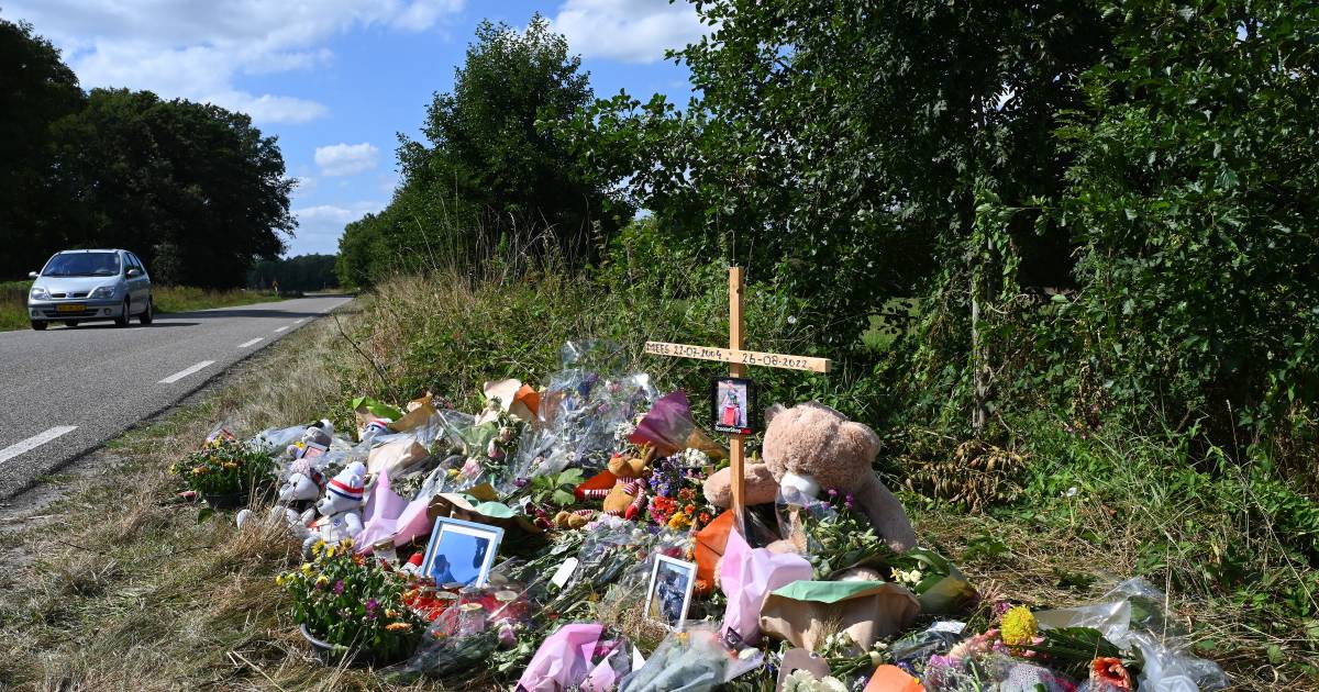 Onderzoek naar dodelijk ongeluk Ledeacker ‘in volle gang’