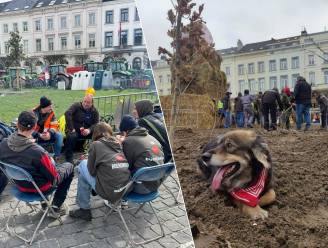 IN BEELD. Op het Luxemburgplein verliep het boerenprotest wél vreedzaam: “Paar heethoofden verpesten het voor iedereen” 