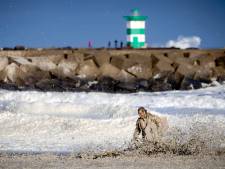 Onderzoek: zeeschuim belangrijkste oorzaak surfdrama Scheveningen