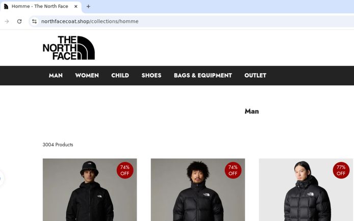 Il s'agit d'un faux site web similaire à celui de la marque The North Face.