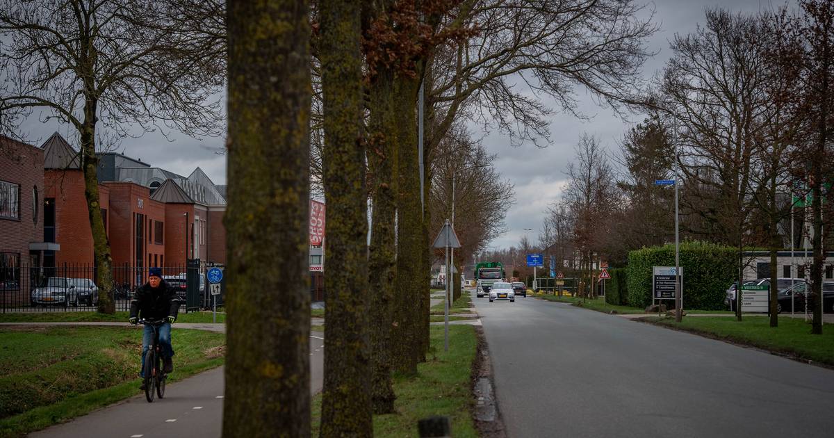 Gemeente West Maas en Waal verkoopt grond voor nieuw bedrijventerrein Veesteeg - De Gelderlander