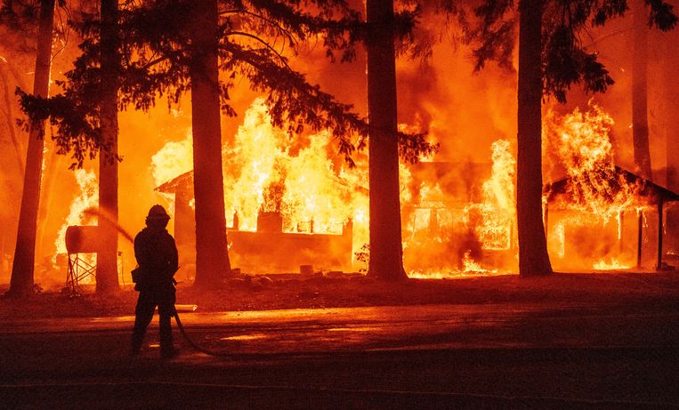 Plumas County, Californië, op 24 juli. Het zogeheten Dixie fire is de grootste brand tot nu toe van dit seizoen en legde al meer dan 192.000 hectare bos in as. Beeld AFP