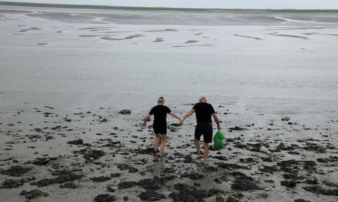 Een koppel gaat zeekraal snijden in het Verdronken Land van Saefinghe.