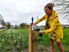 Is Moerdijk bijvriendelijk genoeg?