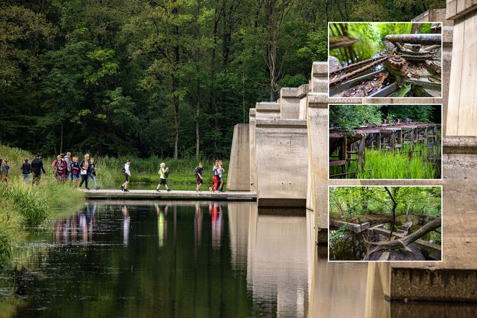 Een schoolklas op bezoek in het Waterloopbos.