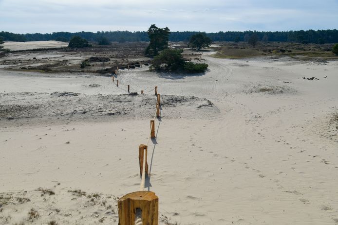 Aan de randen van de open zandvlaktes zijn touwhekken geplaatst. Delen van het Hulshorsterzand zijn tot medio juli afgesloten om de natuur - en dan met name broedvogels - rust te gunnen.