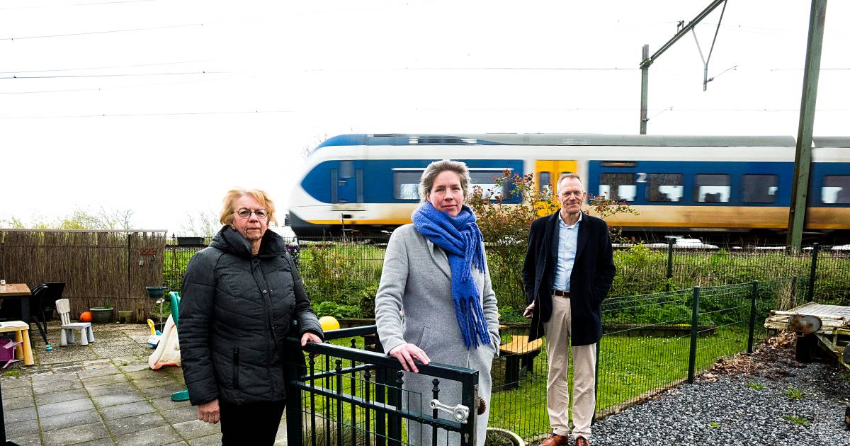 Metershoog scherm in achtertuin gaat uitzicht van Mariska verpesten: ‘Heb helemaal geen last van de 