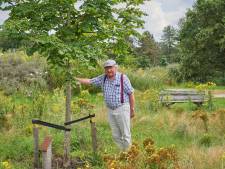 Herinneringsbos Oss wil uitbreiden, want herdenkingsboom planten is populair in deze regio