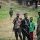Zeven doden bij geweld in Congolese Virungapark