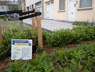 Stad op zoek naar inwoners die willen deelnemen aan ‘tuinstraten’