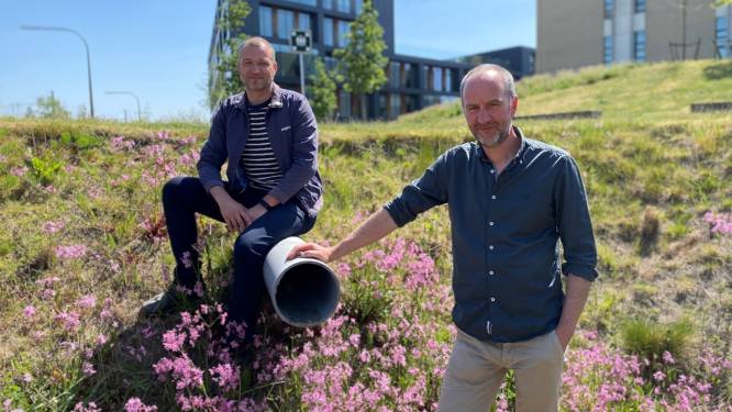 Bedrijventerrein Tielt Noord wordt proefproject voor nieuwe waterinfiltratie en -buffertechnieken: “Kan inspiratie worden voor andere sites elders in Vlaanderen”