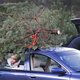 Heel wat kerstbomen verkocht vóór Sinterklaas