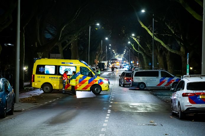 Aan de Molenlaan in Rotterdam-Hillegersberg heeft vanavond rond 18.30 uur een steekpartij plaatsgevonden.