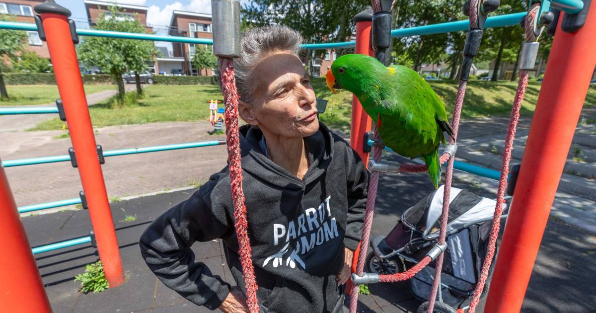 Ellen laat haar papegaai ‘lekker klimmen’ in de speeltuin: ‘Hij is mijn alles’