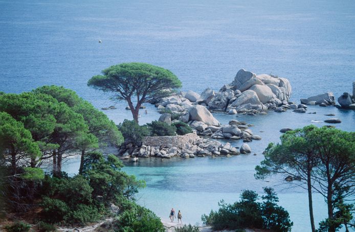 Palombaggia, ’s werelds mooiste strand.