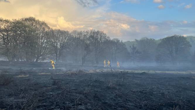 Zwepen en blazen: gespecialiseerd team gaat op Sallandse Heuvelrug te voet het vuur te lijf