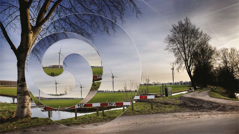null Beeld Foto Werry Crone, bewerking Brechtje Rood