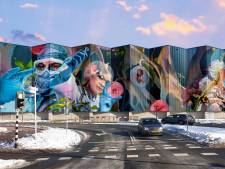 Dit is het winnende kunstwerk dat op de blauwe wand in Oss komt