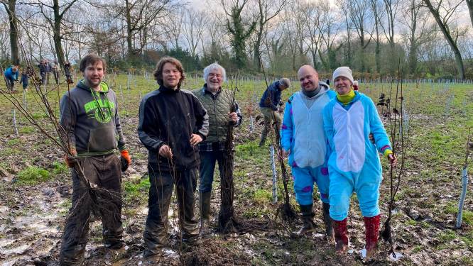 Kim en Guy planten nieuw bos met 2.000 boompjes als trouwcadeau: “Bos+ koppelde ons aan elkaar”