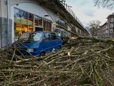 In Rotterdam gingen 1700 bomen om tijdens ‘drielingstorm’: dit gebeurt er met het hout