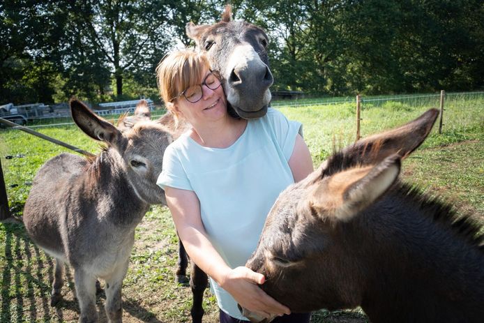 Wendy Haezaerts bij haar ezels.