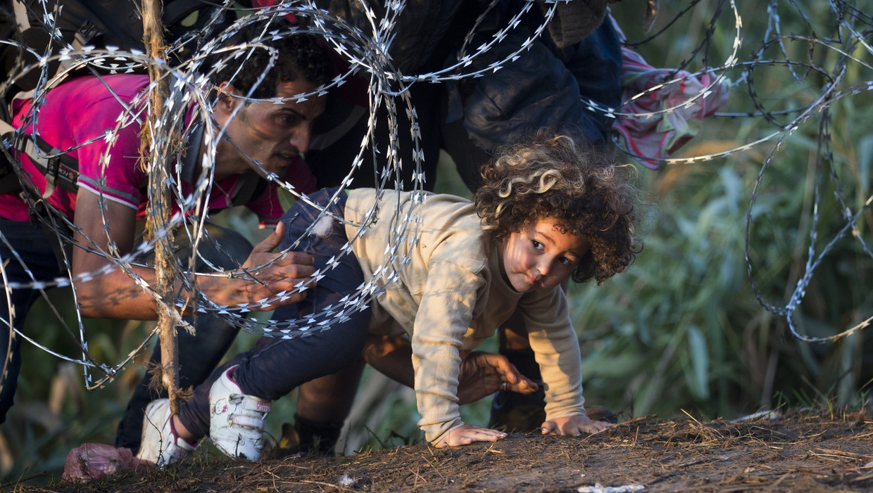 Vluchtelingen kruipen onder het hek door bij de grens tussen Hongarije en Servië. Beeld ap