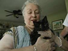 Le tueur en série de chats arrêté