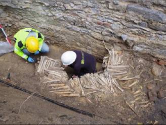 Straffe ontdekking: muren uit beenderen en schedels onder Sint-Baafskathedraal