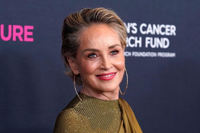 Sharon Stone beschuldigt oud-Sony baas van wangedrag.