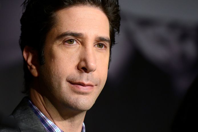 David Schwimmer heeft opnieuw een relatie.