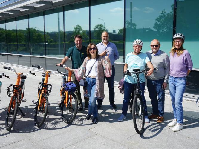 Trein wint nipt race van Temse naar Antwerpen
