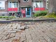 In de Eleonorastraat in de Deventer wijk Keizerslanden duwen boomwortels de bestrating omhoog.