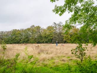 Code geel voor natuurbranden blijft van kracht in heel Vlaanderen