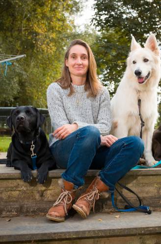 “Baasjes aaien hun hond te veel”: gedragsspecialiste legt uit hoe je je viervoeter minder stress geeft