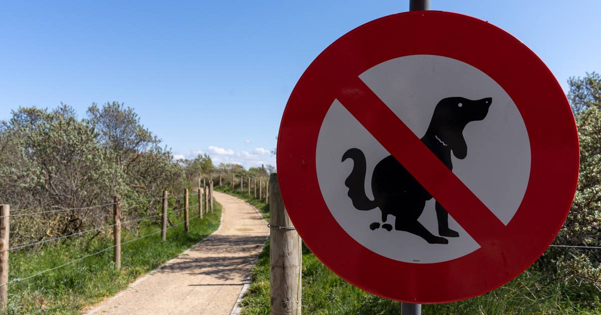 Proper Disposal of Dog Poop: Aalter's Solution and Updated Posters ...