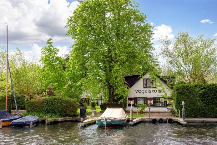 Een eigen privé-eiland kopen in Nederland? Dat kan, maar het kost je ...