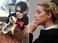 Dierenarts weerlegt argumenten van Amber Heard: “Een hond krijgt geen darmproblemen van wiet” 