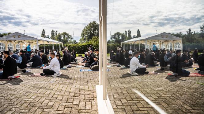 Uitbreiding woonwagenkamp wijk Presikhaaf in Arnhem, vraag is nog wanneer