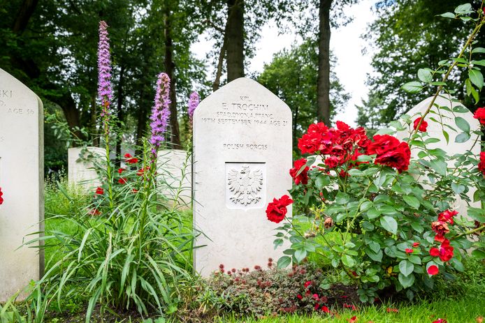 De nieuwe steen bij de laatste rustplaats van Edward Trochim op de Airborne Begraafplaats in Oosterbeek.