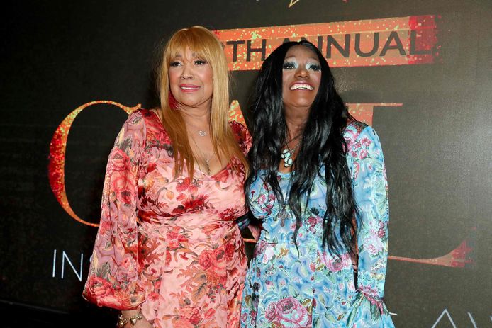 Anita Pointer et Bonnie Pointer