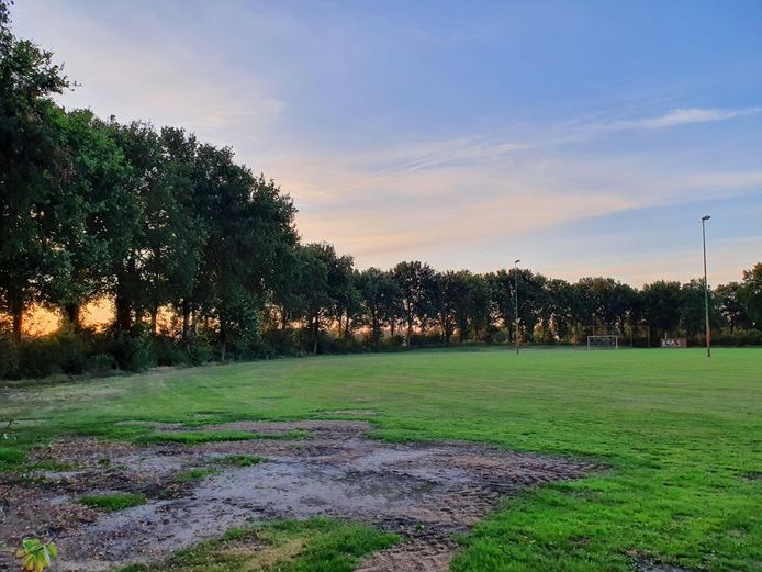 Het huidige evenemententerrein dat omzoomd wordt door een houtwal en waar straks het uitbreidingsplan Westerhoven Noord komt