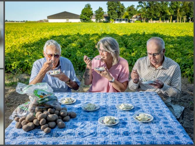 Wie dol is op aardappelsalade, moet dit merk vooral niet kopen: ‘Wat een natte bende’
