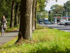 Protest inwoners Bladel heeft (vooralsnog) effect: geen fietspad Heeleind-Boskant